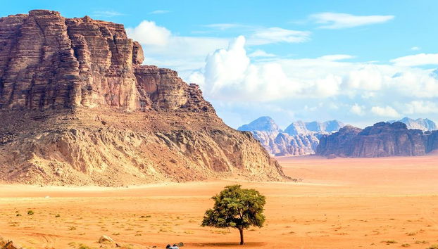 Wadi Rum 4X4 Jeep Tour - Photo 4