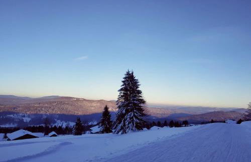 Winterwohnung Almberg - Foto 25