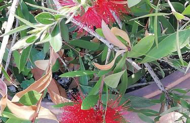 Ferienwohnung Borchert - Foto 70