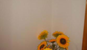 maison jolie - Agropoli da vivere- - Foto 5