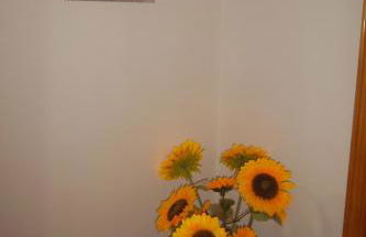 maison jolie - Agropoli da vivere- - Foto 5