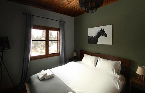 Pavliani House - Foto 47