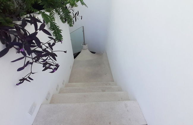 Del Canto PH 10D by Kivoya - Foto 46