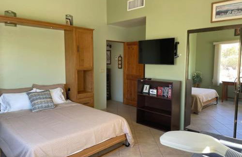 Tucson Mnt Foothills Saguaro Bliss - Foto 23