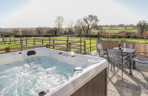 The Lookout - Ukc3846 - Foto 24