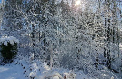 FeWo Harling - Waldoase - Foto 37