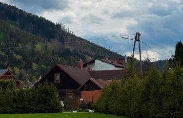 Mountain Szczyrk ApArt Bratków 10A - Foto 55