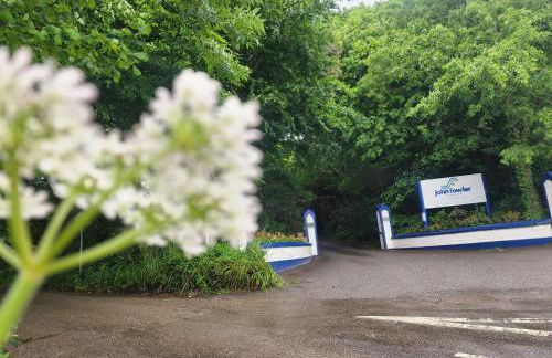 52 strawberry - Foto 9