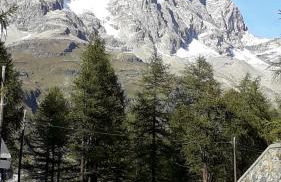 The Green Owl - Foto 60