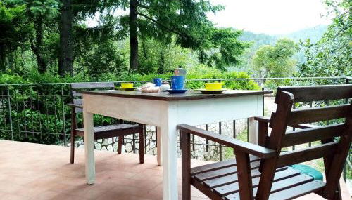 La casa del bosco - Foto 4, Garden, Garden view