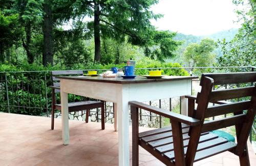 La casa del bosco - Foto 4