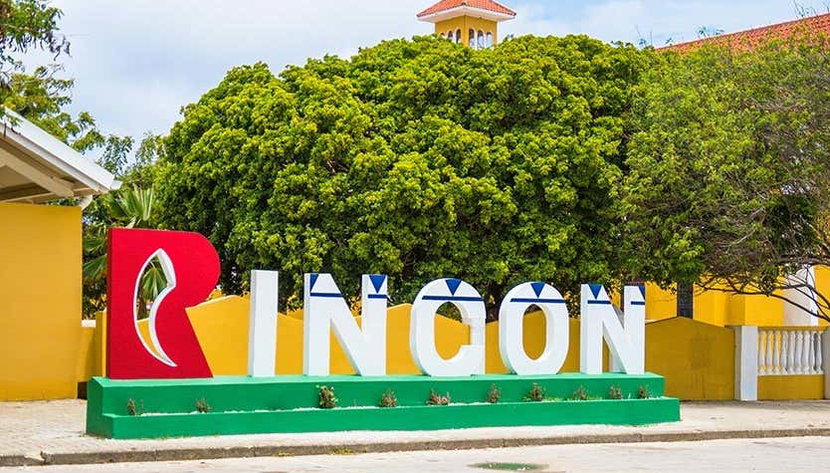 Tour panoramico di Bonaire - Foto 3, Case a Rincón