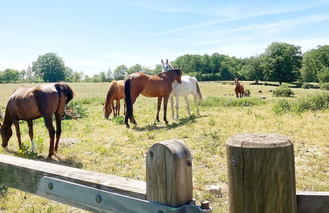 11 Person Holiday Home in Brosarp - Foto 16