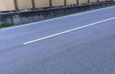 i tulipani - Foto 24