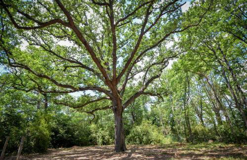 La Résidence du Château de Jouarres - Foto 36