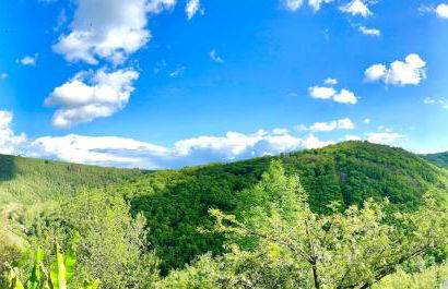 Lou Cambrou - Photo 6