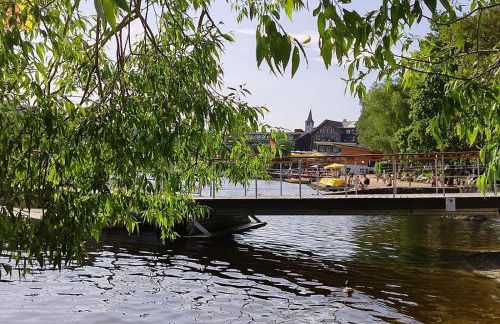 Ferienwohnung Seeblick Nr 1 ,Feldberg Bärental - Foto 21