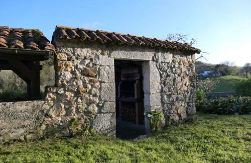 Finca el Palacio - Foto 23