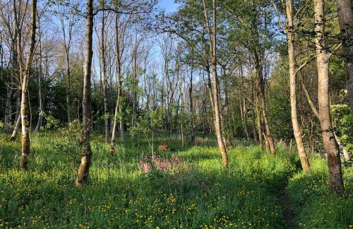 The Engine Room - Photo 47