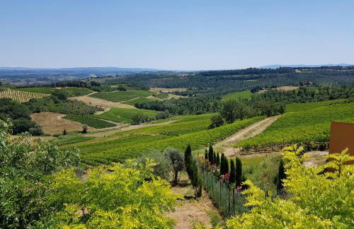 Il Leccio - Casa Toscana San Gimignano - Foto 13