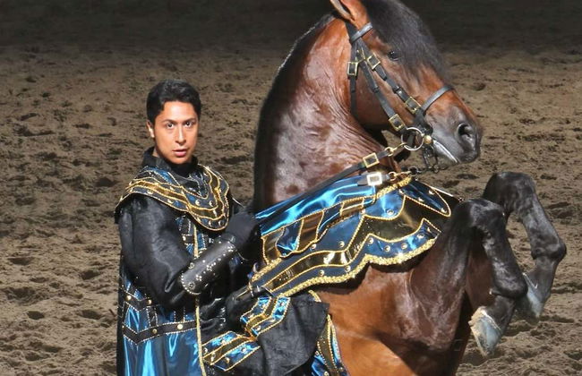 Biglietti per il Medieval Times Dinner & Tournament - Foto 8