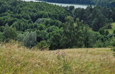 Słoneczny Dom w Mrągowie z dużym ogrodem - Foto 72