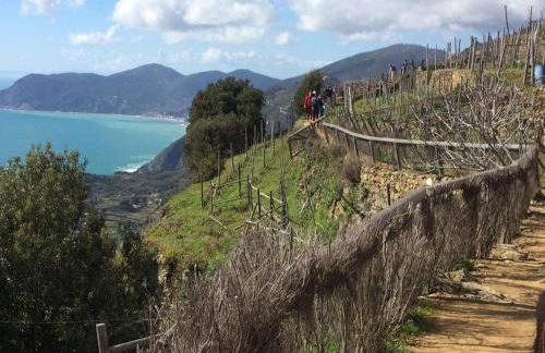 Appartamento vacanze "Borgo Cinque Terre" Volastra Manarola - Foto 49
