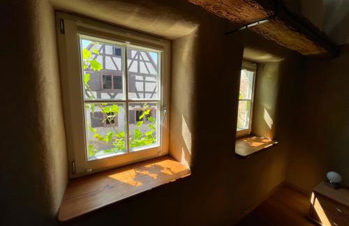 Schlafgut-Freytag Ferienhaus Pfälzer Bu - Foto 9