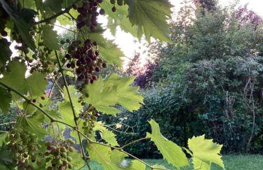 Ferienwohnung Alkapa - Foto 32