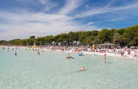 Finca Santa Maria - Foto 35