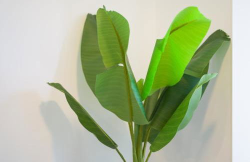 Castle of Light By CanariasGetaway - Foto 21