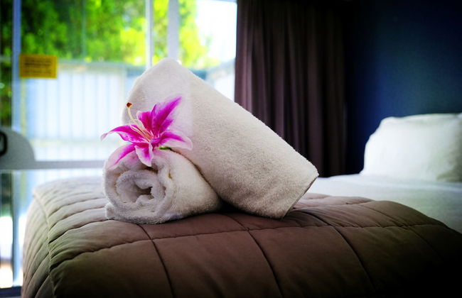 Alpin Motel & Conference Centre - Foto 8