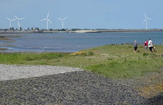 Cottage in Wissenkerke Near Nature Reserve - Foto 41