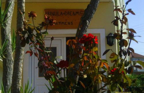 Irinoula Dreams - Foto 125