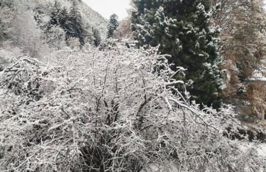 Clos Bois Joli - Foto 17