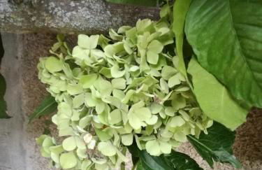 O Ze Ja Dormiu Aqui - Photo 50