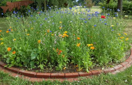 Neuenkirchen Moritzhagen - Photo 61