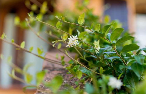 Il Leccio - Casa Toscana San Gimignano - Foto 41