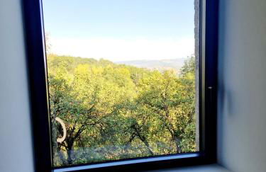 Le Coustouzet - Gîte 10 personnes Bozouls - Photo 24