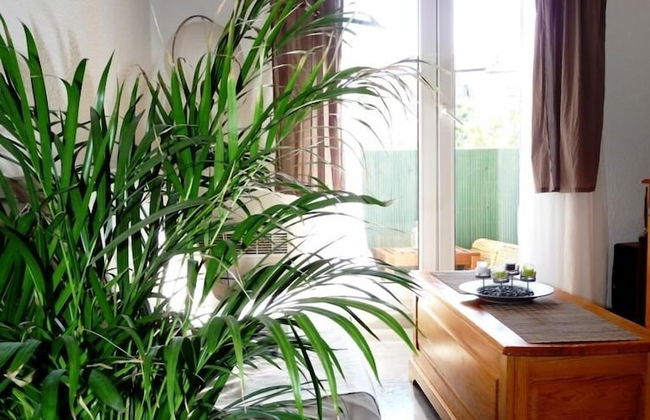 ABITEL - Le Clos des 3 Graces - Photo 12