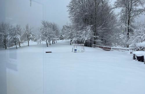 Green House kuća s 4 spavaće sobe - Foto 41