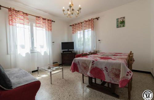 Les hortensias - Foto 22