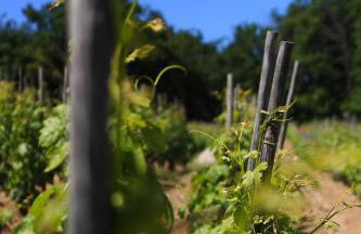 Les Barras’k - Foto 20