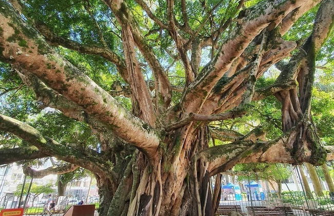 Res. Villa de Collina-Centro de Floripa - Photo 34