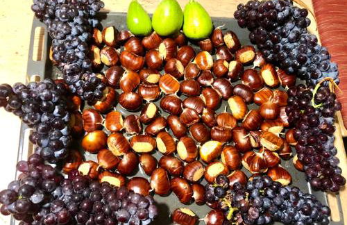 CASA CARCENTINA - fronte seggiovia, sulla pista Stelvio - Foto 57