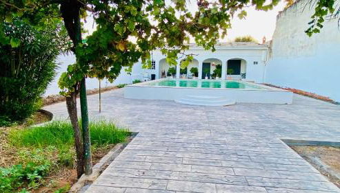 Los Limones - Photo 3, Garden, Garden view