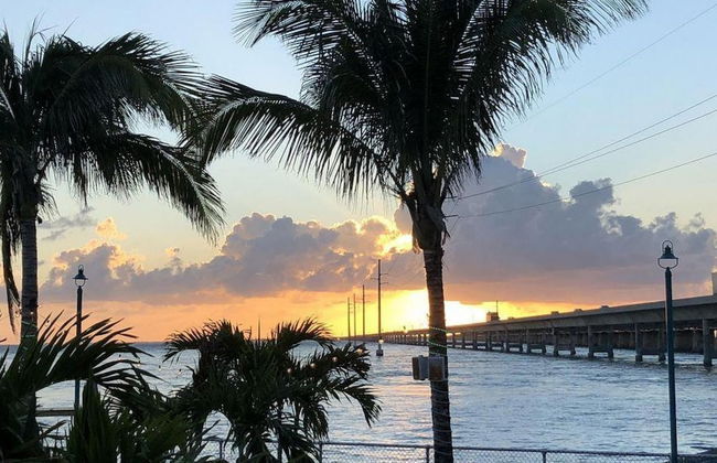 4 Beautiful 4 Bed 3 Bath Pool Home w Free Dock - Foto 32