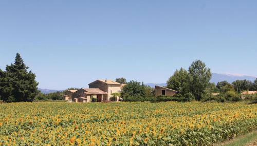 Cozy Home In Pernes Les Fontaines - Photo 5