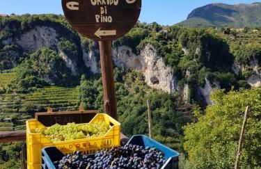 Agriturismo Orrido di Pino - Foto 79