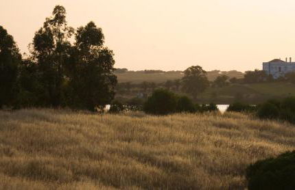 Herdade dos Grous - Foto 32